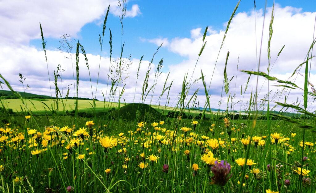 Welcome to the start of Drifters Moon