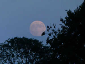 cropped-moonatAvebury-02-scaled-1.jpg