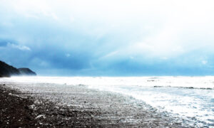 on_a_perfect_day_at_charmouth-02